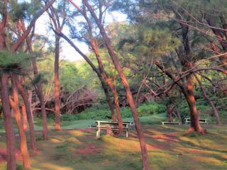 Hike Barbados: Barclay’s Park
