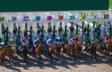 Fair Grounds Live Racing