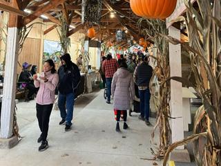 Halloween Farmers Market in Miami