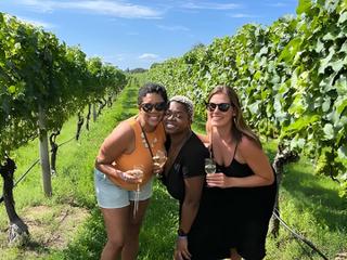 Long Island Full Day Wine and Food Tasting Vineyard Tour from NYC