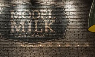 Model Milk