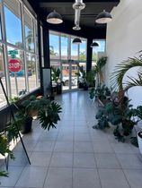 Premium Creative Studio w/ Natural Lighting