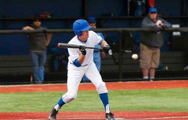 Northern Colorado Bears at Air Force Falcons Baseball
