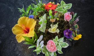 Langdon Hall Dining Room