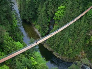 Vancouver City Sightseeing Tour: Capilano Suspension Bridge & Vancouver Lookout