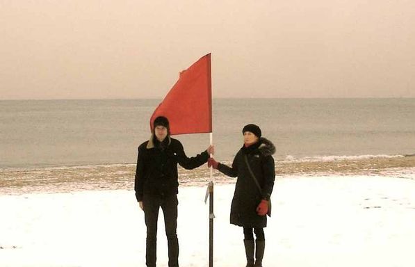 The Ladybug Transistor, Giant Day and False Tracks