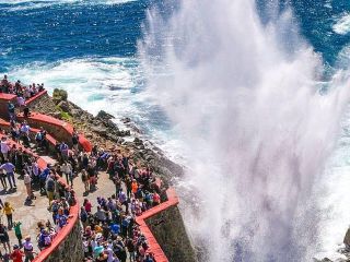 Private Bufadora Blowhole & Market Scenic Tour w/ Options