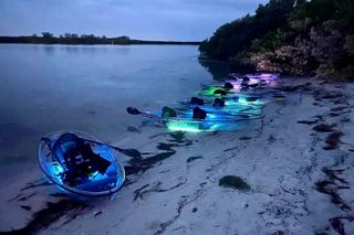 Shell Key Clear Kayak Sunset & Glow Tours