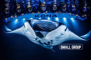 Kona Manta Ray Night Snorkel— Small Group - Wetsuit Included