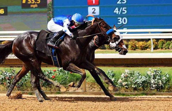 Del Mar Thoroughbred Racing - Friday