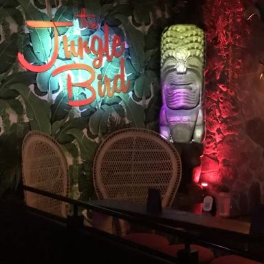 The Jungle Bird