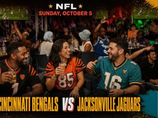 Jaguars at Bengals