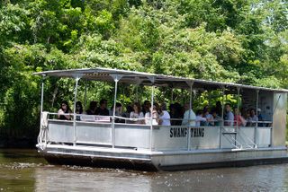 New Orleans Swamp Boat Tour with Shuttle Service
