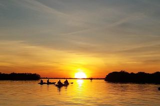 Sunset Tour Mangrove, Dolphins, Manatee #1 Rated in Cocoa Beach