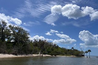 Eco Tour in Crystal River