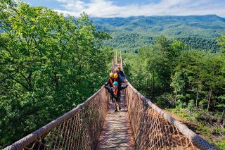 Mountaintop Zipline 2-Hours Activity