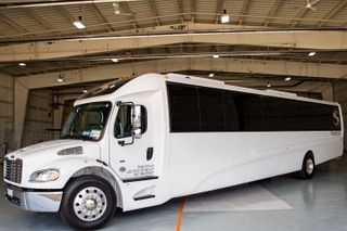 Luxury Minibus Chicago City Tour
