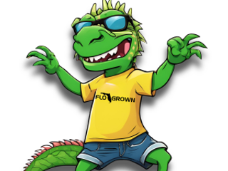 954 IGUANA MAN 5K %26 10K