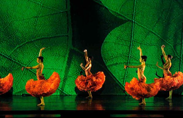 MOMIX - Alice