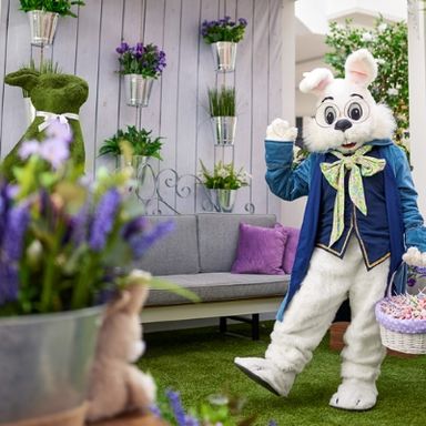 Pet Photos With The Bunny