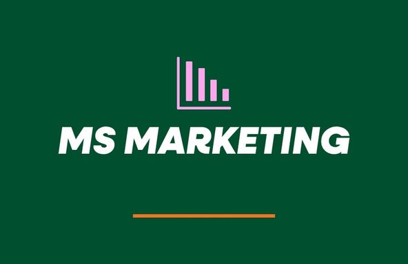Master of Science in Marketing Information Session
