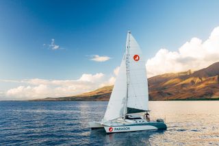 Morning Whale Watch: Lahaina Harbor