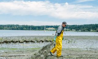 Westcott Bay Shellfish Co