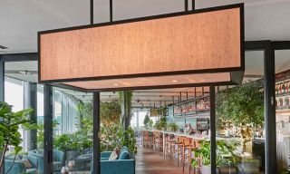 Angelica & Crafthouse