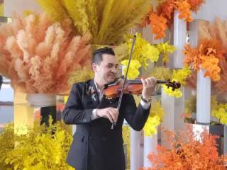 Holiday Melodies at MarketFair 🎻✨