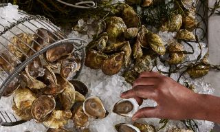 Oyster House Philadelphia