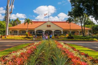 Oahu's Ultimate Grand Circle Island Tour with Snorkeling and More