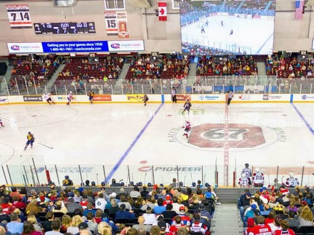 Brampton Steelheads at Ottawa 67's