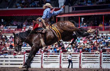 2026 Cheyenne Frontier Days - 1 Day Carnival Armbands