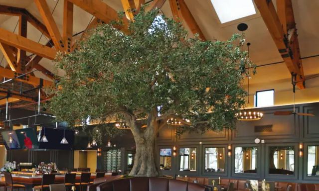 36 Degrees North at San Juan Oaks Golf Club