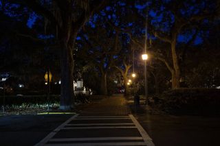 Savannah Your Way: Ghosts, History & True Crime Private Tours