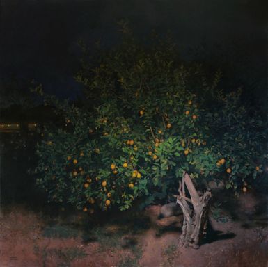 Nocturnal Gardens By Martin Dimitrov