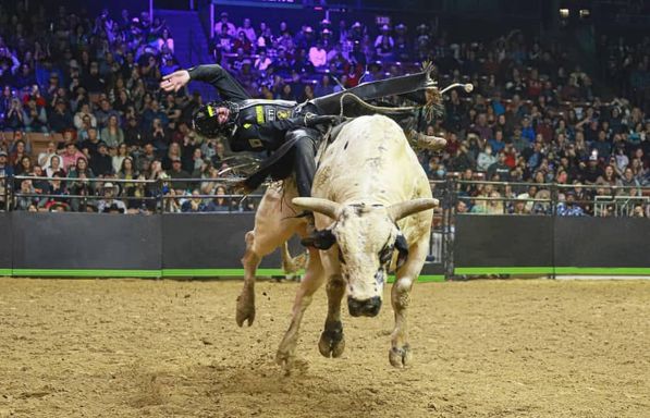 Pbr: Unleash The Beast 3-day Combo Package