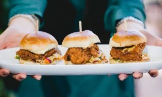 Thirsty Lion – Tanasbourne, OR