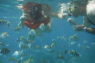 Negril Lobster Lunch on Booby Cay & Snorkeling To a Sunken Cannon