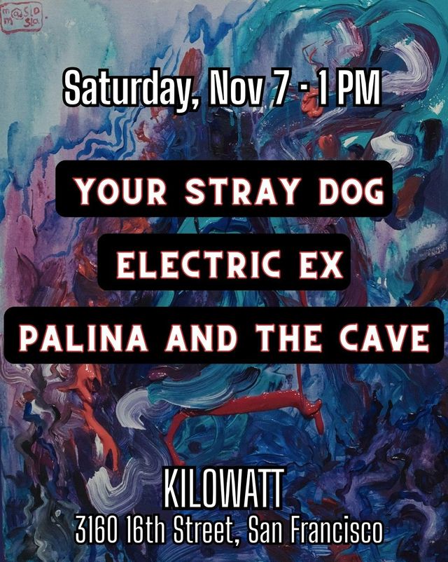 Palina and The Cave, Electric Ex and Your Stray Dog