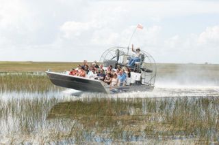 Florida Everglades Airboat Adventure and Wildlife Encounter