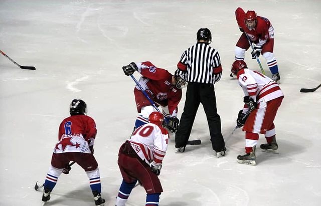 Flint Firebirds at Niagara Icedogs