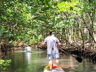 Nature Stand Up Paddle Boarding Experience, Miami
