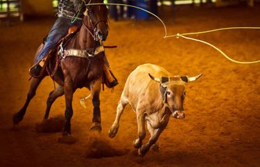 Stockyards Championship Rodeo - Sunday