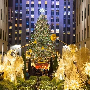 Christmas in New York: Private Holiday History Tour