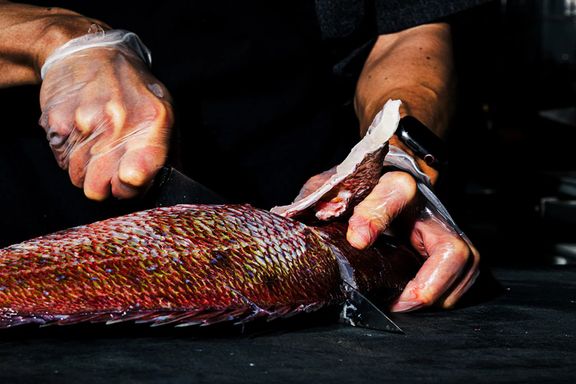 Omakase Dinner at RO Hyde Park