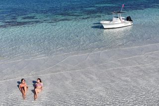 Key West Private 6-Person Sandbar & Snorkeling Charter
