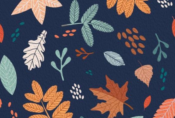 3rd Eleven Eleven Events Annual Fall Market