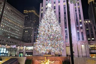 New York City Holiday Lights Tour