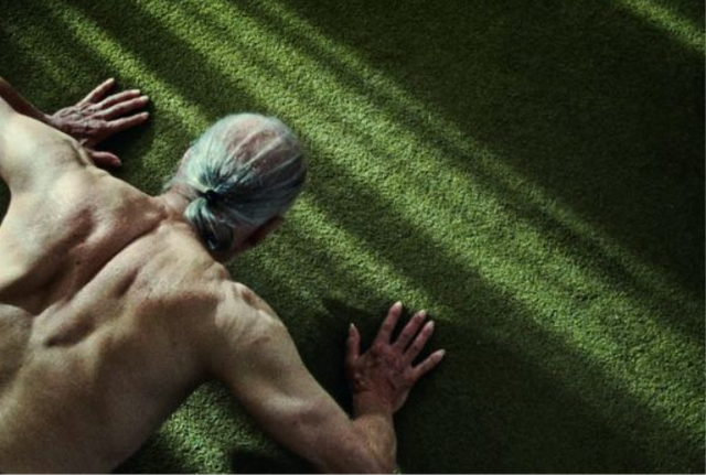 Shorts Program: Black Sheep